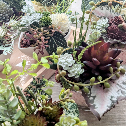 多肉植物＆グリーンアレンジメント カラーストーン YE/PK 寄せ植え風