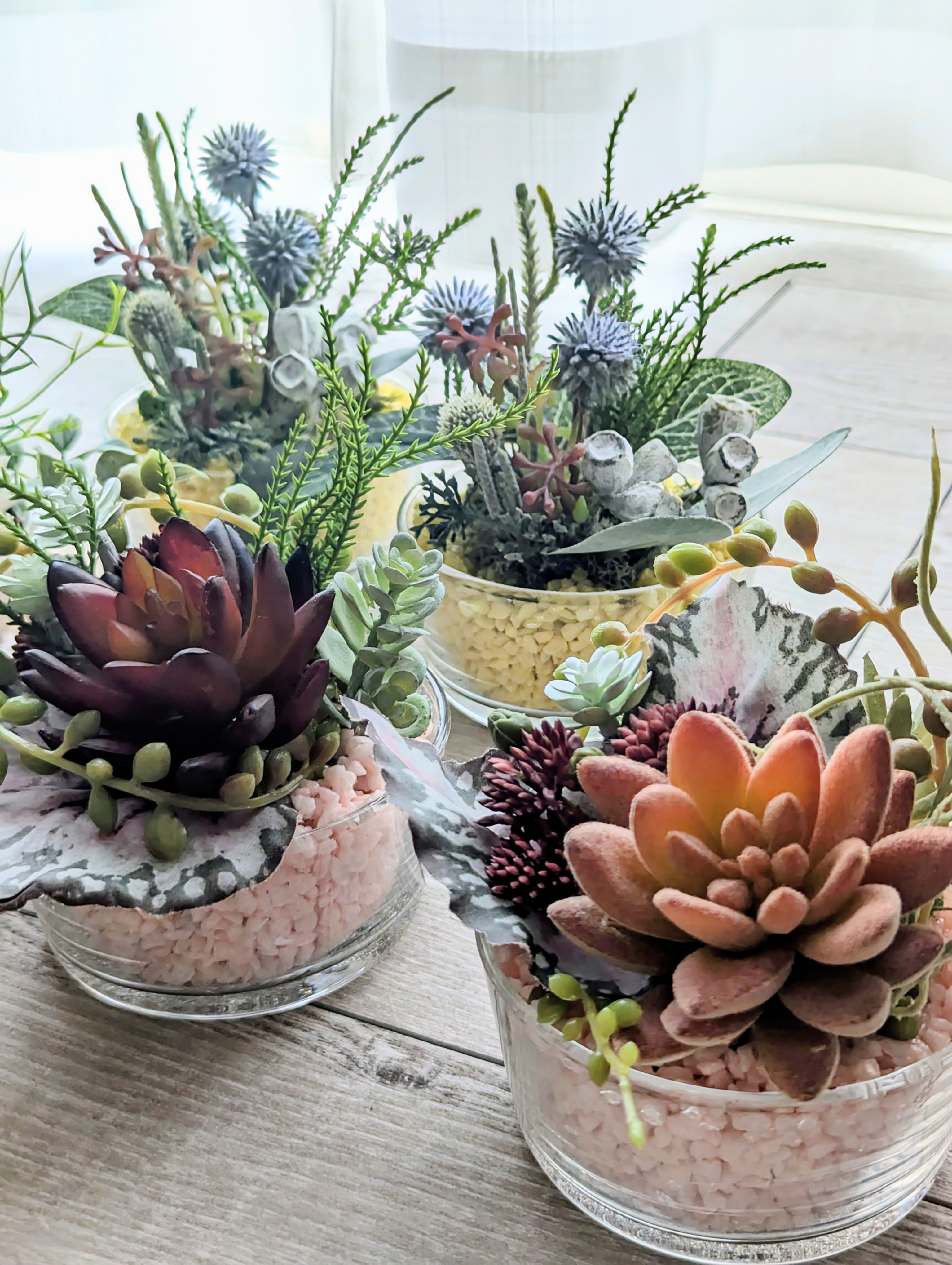 多肉植物アレンジメント*2 多肉植物アレンジメント｜プリザーブドフラワー教室＆通信販売