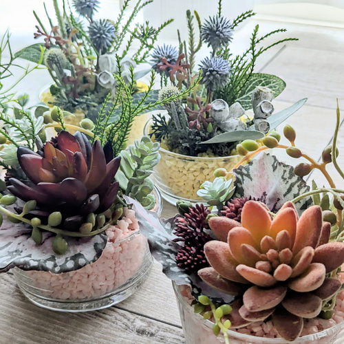多肉植物アレンジメント*2 8fe67273cec71e21f9fd4688ea5347