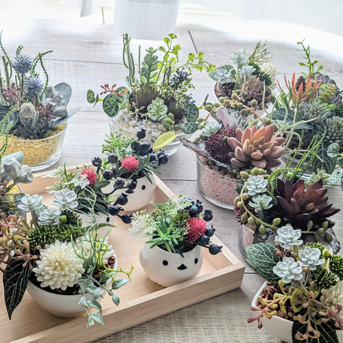 多肉植物＆グリーンアレンジメント カラーストーン YE/PK 寄せ植え風