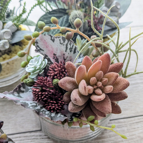 多肉植物＆グリーンアレンジメント カラーストーン YE/PK 寄せ植え風