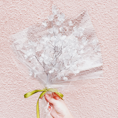 単品販売】かすみ草 1本 f3004 一輪挿し・花瓶・花器 Cuore 通販