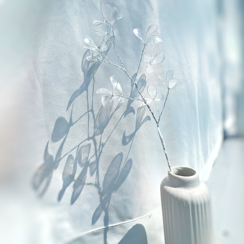 【かすみ草】 Amazon | takeda かすみ草 S (エンジェルグリーン) | TAKEDA