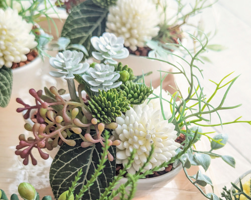 多肉植物＆グリーンアレンジメント ティアドロップボウル 寄せ植え風