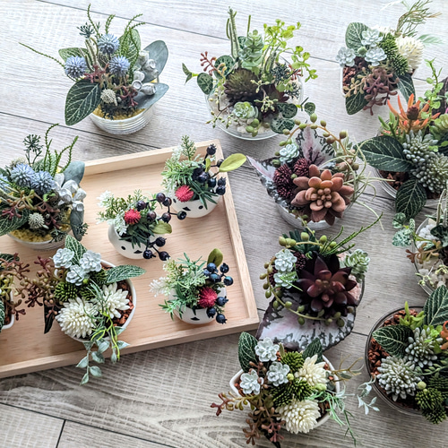 多肉植物＆グリーンアレンジメント ティアドロップボウル 寄せ植え風