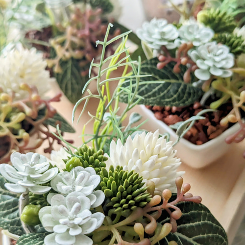 多肉植物アレンジメント*2 8fe67273cec71e21f9fd4688ea5347