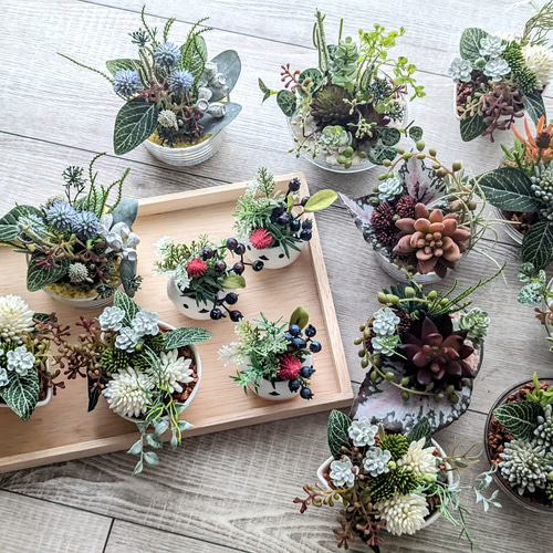多肉植物アレンジメント*2 8fe67273cec71e21f9fd4688ea5347