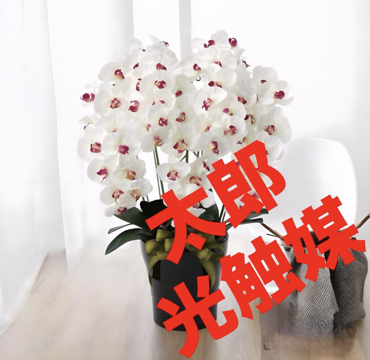 光触媒　人工観葉植物　フェイクグリーン　プレミアム胡蝶蘭5本立W/AB