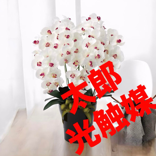 光触媒 人工観葉植物 フェイクグリーン プレミアム胡蝶蘭5本立W/AB