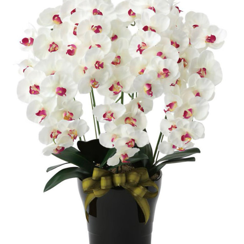 光触媒 人工観葉植物 フェイクグリーン プレミアム胡蝶蘭5本立W/AB