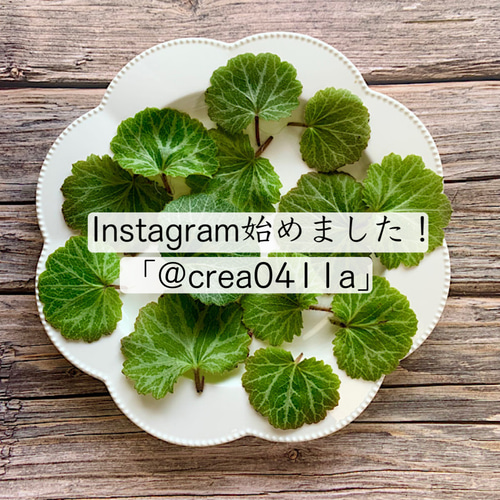 50g【よもぎ＆びわの葉バーム】 無添加 オーガニック 農薬不使用