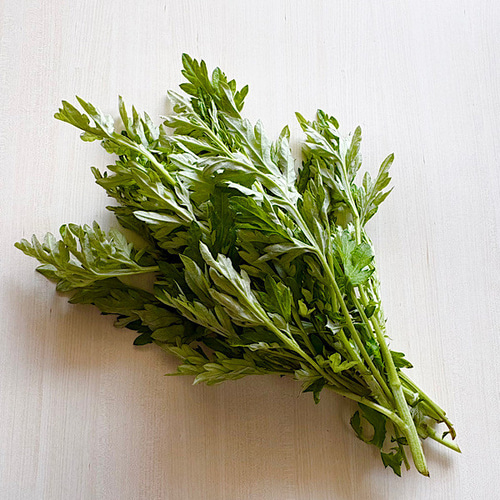 50g【よもぎ＆びわの葉バーム】 無添加 オーガニック 農薬不使用