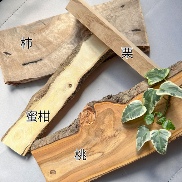 木軸シャープペン ～ 桃栗三年柿八年 ～（木製シャープペン、木軸ペン） 6枚目の画像