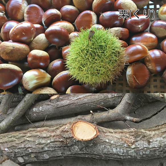 木軸シャープペン ～ 桃栗三年柿八年 ～（木製シャープペン、木軸ペン） 4枚目の画像