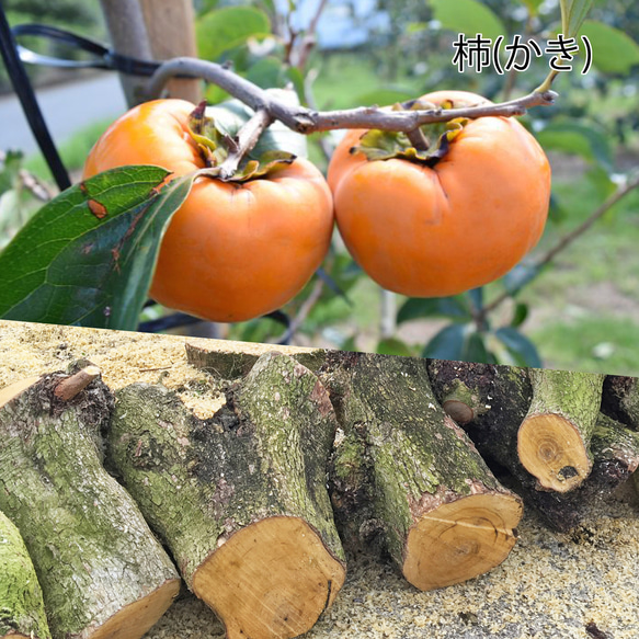 木軸シャープペン ～ 桃栗三年柿八年 ～（木製シャープペン、木軸ペン） 5枚目の画像