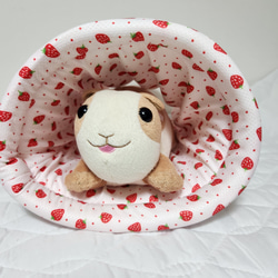 【モルモットンネル】モルリョーシカ柄×イチゴ 3枚目の画像