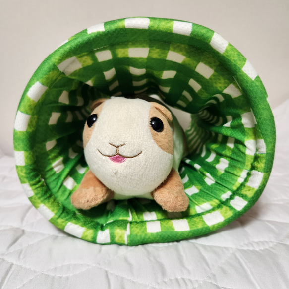 【モルモットンネル】たこ焼きモルモット柄 3枚目の画像