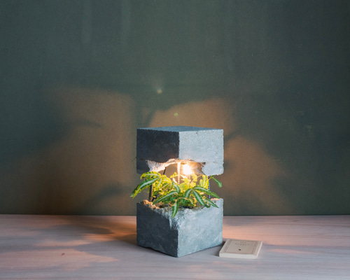 bedec098756068c7d6e0ec320dbfc1