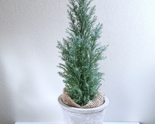 91060f0086d041bff40dc837710aa3