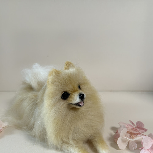 羊毛フェルト　にこにこリラックスポメラニアン 羊毛フェルト にこにこリラックスポメラニアン