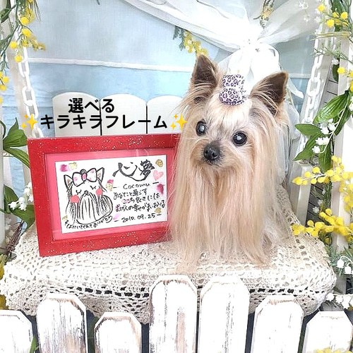 可愛い❤愛犬✨愛猫✨ 名前ポエム［ペット うちの子 イラスト