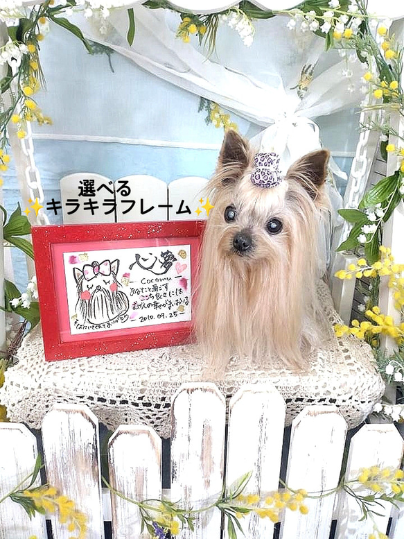 お名前入り ポエム♡心愛ページ♡ 可愛い❤愛犬✨愛猫✨ 名前ポエム［ペット うちの子 イラスト