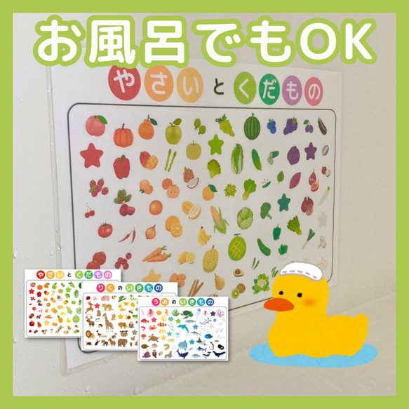 知育玩具 知育カード 知育ポスター 絵カード 野菜 果物 生き物 動物 海