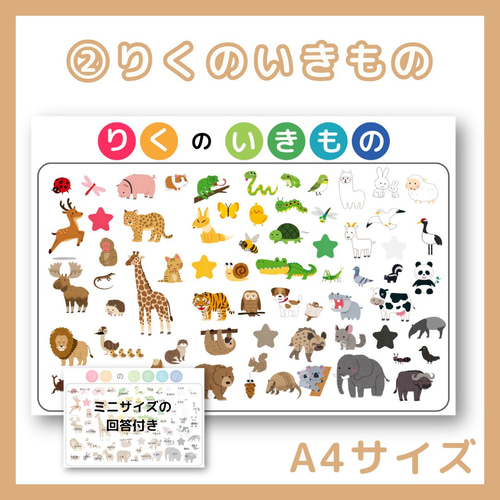 知育玩具 知育カード 知育ポスター 絵カード 野菜 果物 生き物 動物 海  