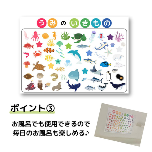 知育玩具 知育カード 知育ポスター 絵カード 野菜 果物 生き物 動物 海  