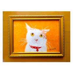 白猫オッドアイ」 額装写真 A4判 & 2L判(写真のみ2枚) フォトフレーム