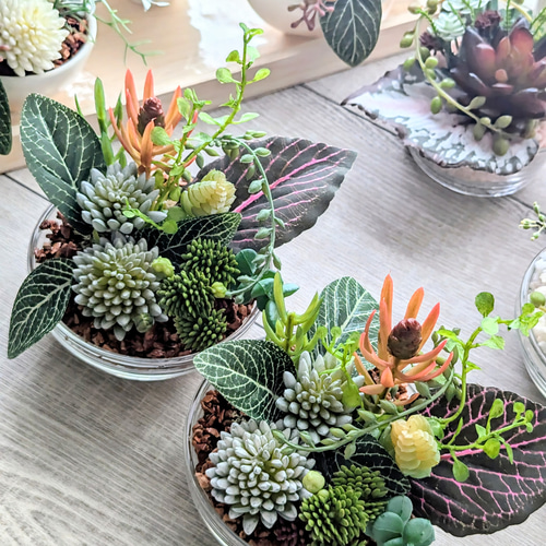 [仕様変更のため処分価格]アイアン　プランタースタンド　植物棚　多肉植物などに プランタースタンド プランターBOX 植物棚 多肉植物 観葉植物