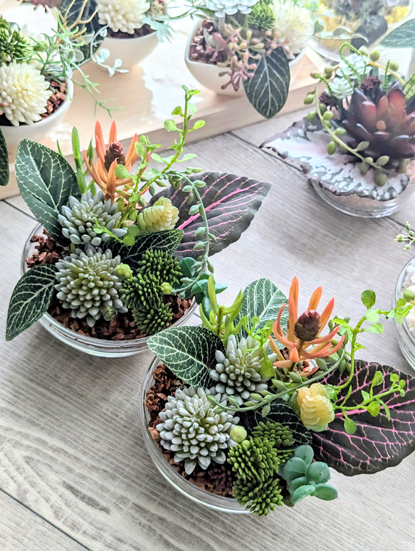 多肉植物＆グリーンアレンジメント カラーストーン テラコッタ 寄せ  