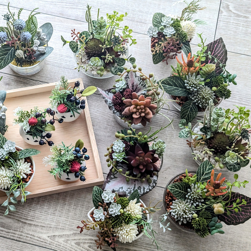 多肉植物＆グリーンアレンジメント カラーストーン WH 寄せ植え風