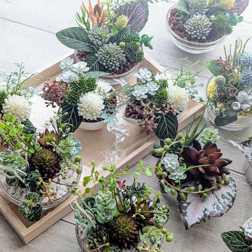 多肉植物＆グリーンアレンジメント カラーストーン WH 寄せ植え風