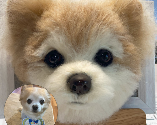 オーダーメイドわんこちゃんリアルぬいぐるみ　未使用　犬 オーダーメイドわんこちゃんリアルぬいぐるみ 未使用 犬 - メルカリ