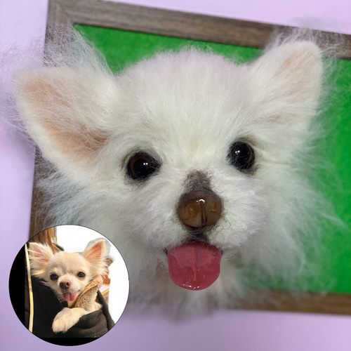 愛犬ちゃんのそっくりなリアルなペット人形をお作りします
