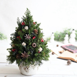 赤い実が灯る大人のクリスマスツリー＊32cm＊プリザーブド卓上サイズ 2枚目の画像
