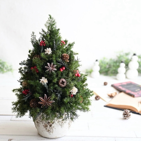 赤い実が灯る大人のクリスマスツリー＊32cm＊プリザーブド卓上サイズ 2枚目の画像