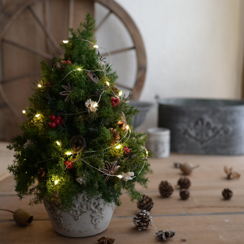 赤い実が灯る大人のクリスマスツリー＊32cm＊プリザーブド卓上サイズ