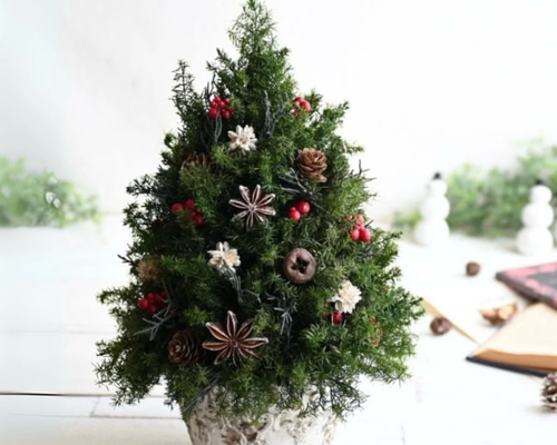 赤い実が灯る大人のクリスマスツリー＊32cm＊プリザーブド卓上サイズ