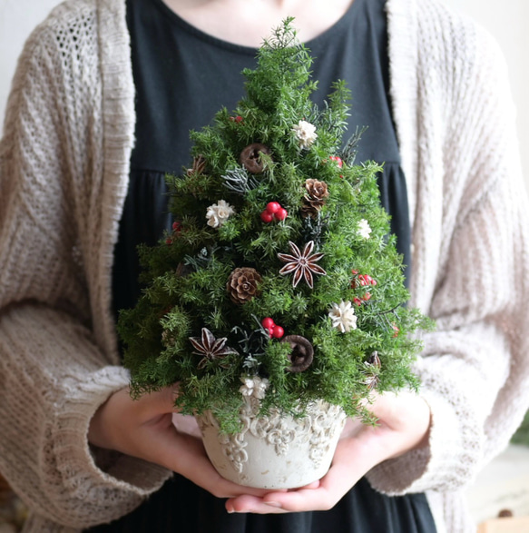 赤い実が灯る大人のクリスマスツリー＊32cm＊プリザーブド卓上サイズ 6枚目の画像