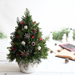 赤い実が灯る大人のクリスマスツリー＊32cm＊プリザーブド卓上サイズ 7枚目の画像