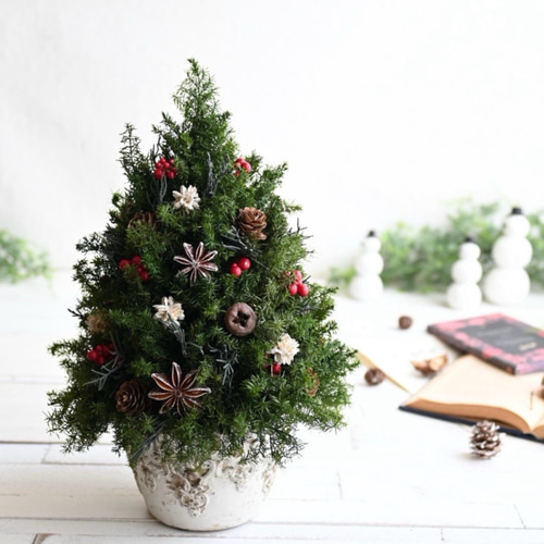 赤い実が灯る大人のクリスマスツリー＊32cm＊プリザーブド卓上サイズ