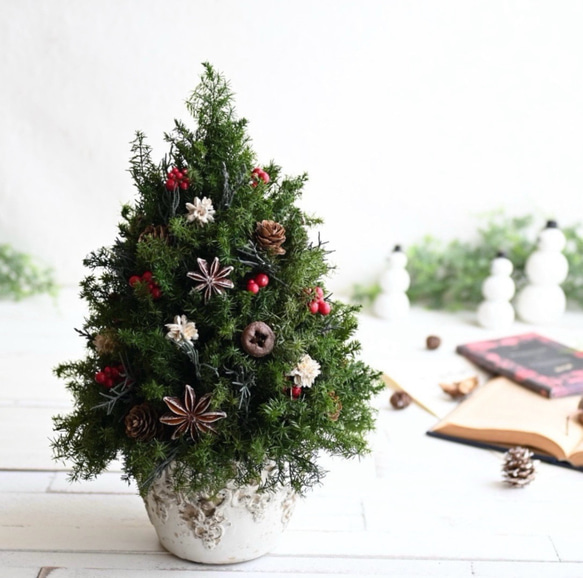 赤い実が灯る大人のクリスマスツリー＊32cm＊プリザーブド卓上サイズ 7枚目の画像