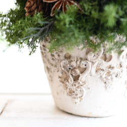 赤い実が灯る大人のクリスマスツリー＊32cm＊プリザーブド卓上サイズ 4枚目の画像