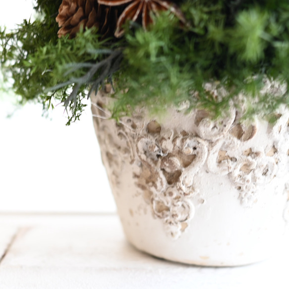 赤い実が灯る大人のクリスマスツリー＊32cm＊プリザーブド卓上サイズ 4枚目の画像