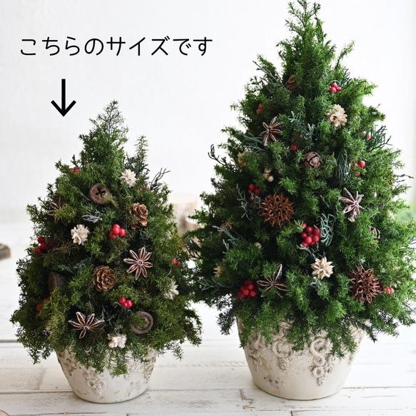 赤い実が灯る大人のクリスマスツリー＊32cm＊プリザーブド卓上サイズ 8枚目の画像
