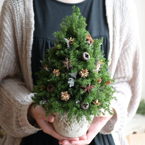 色味を抑えたクリスマスツリー＊32cm＊ゴールド プリザーブド卓上