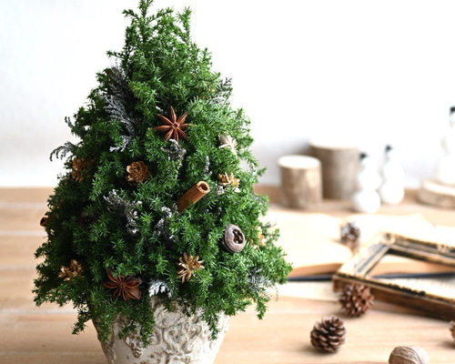 色味を抑えたクリスマスツリー＊32cm＊ゴールド プリザーブド卓上