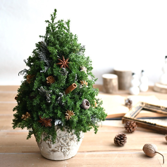 ボトルツリー　ミドルサイズ 色味を抑えたクリスマスツリー＊32cm＊ゴールド プリザーブド卓上